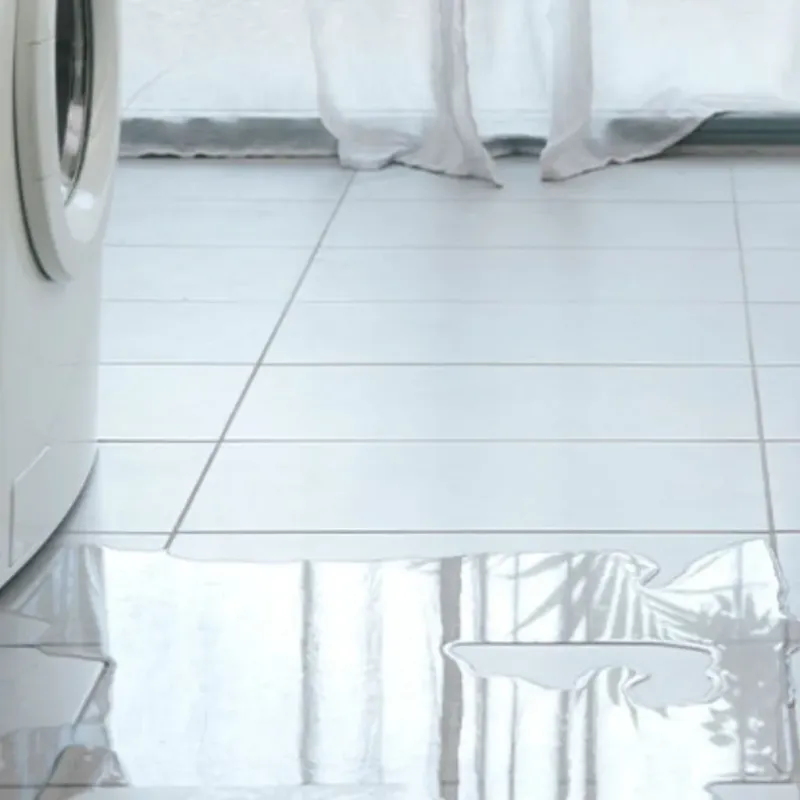 Appliance Leak Cleanup in Forest City, PA