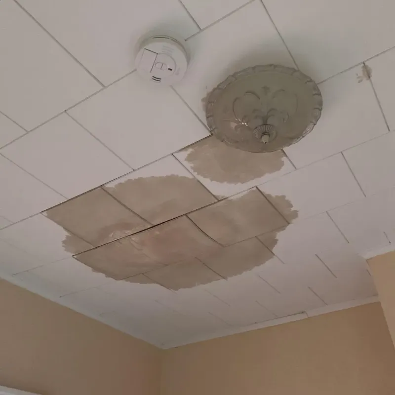 Ceiling Water Damage Repair in Forest City, PA