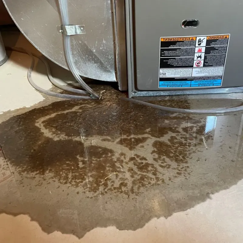 Pipe Burst and Leak Restoration in Forest City, PA